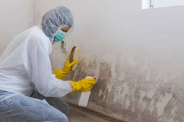 Best Mold Cleaning Services  in Smithville, NJ