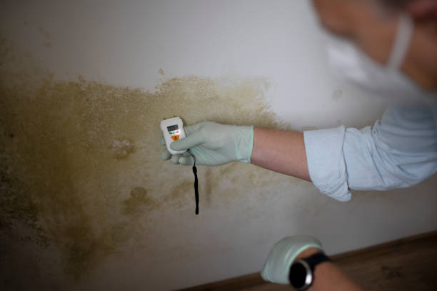 Best Emergency Mold Removal  in Smithville, NJ